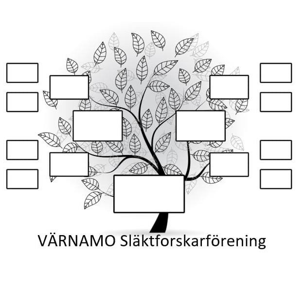 Ane-vmo
